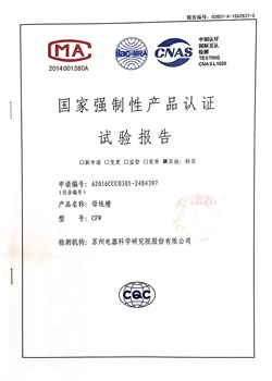 檢測報告_CFW 630A-100A 1